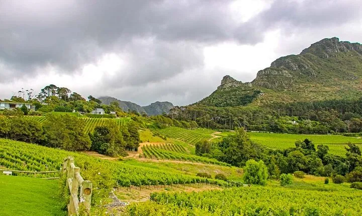 Full Day Paarl Franschhoek & Stellenbosch Private Wine Tour
