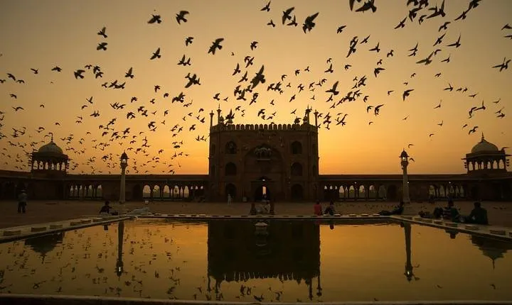 Private AC Car Transfer- Agra Hotel to Delhi Airport