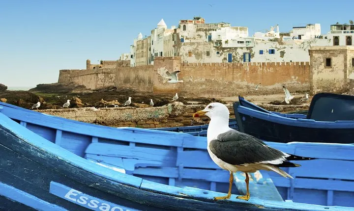 Full-Day Excursion to Essaouira from Marrakech