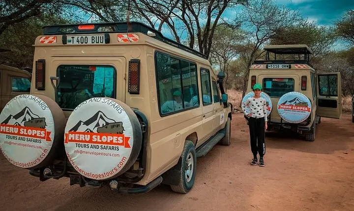 4 Days Tarangire Serengeti and Ngorongoro Crater mid range tour