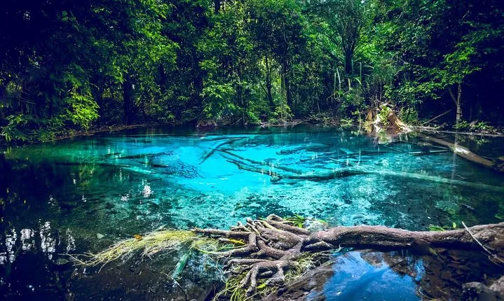Krabi Emerald Pool, Hot Spring and Tiger Temple
