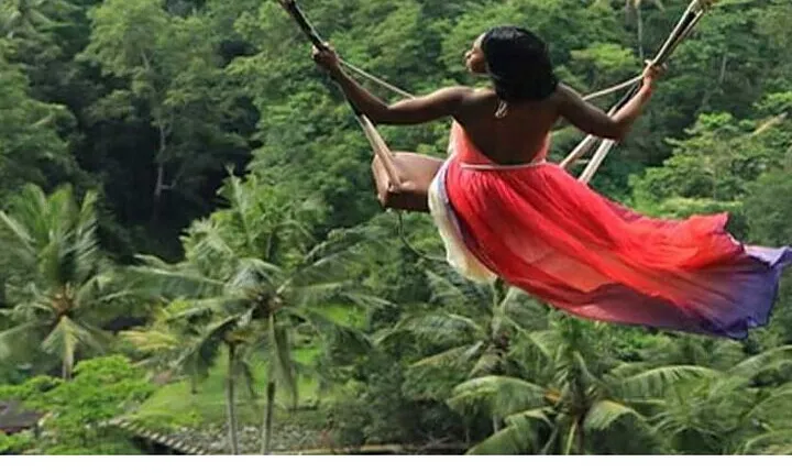Ubud Natural Scenery with Swing