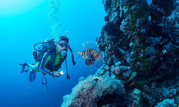 Ras Mohamed & White Island Snorkel & Dive - Sharm El Sheikh