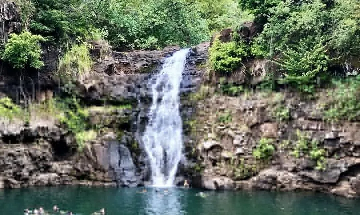 OAHU GRAND CIRCLE Waimea Waterfall, Turtle Beach, North Shore. 