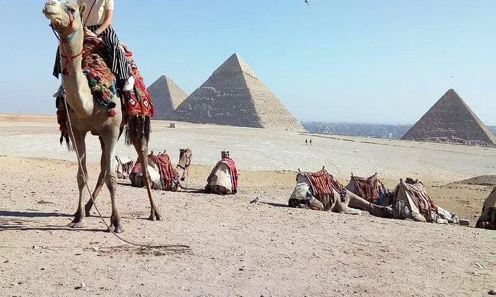 Horse or Camel Riding Tour around Sahara Giza pyramids