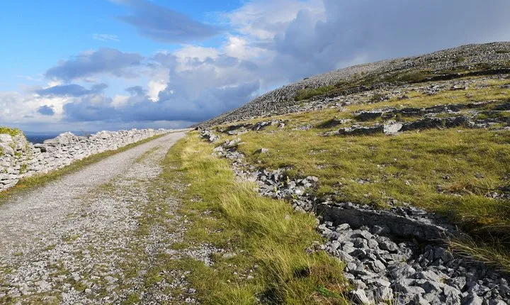 The Burren and Cliffs of Moher Full Day Private Tour from Galway