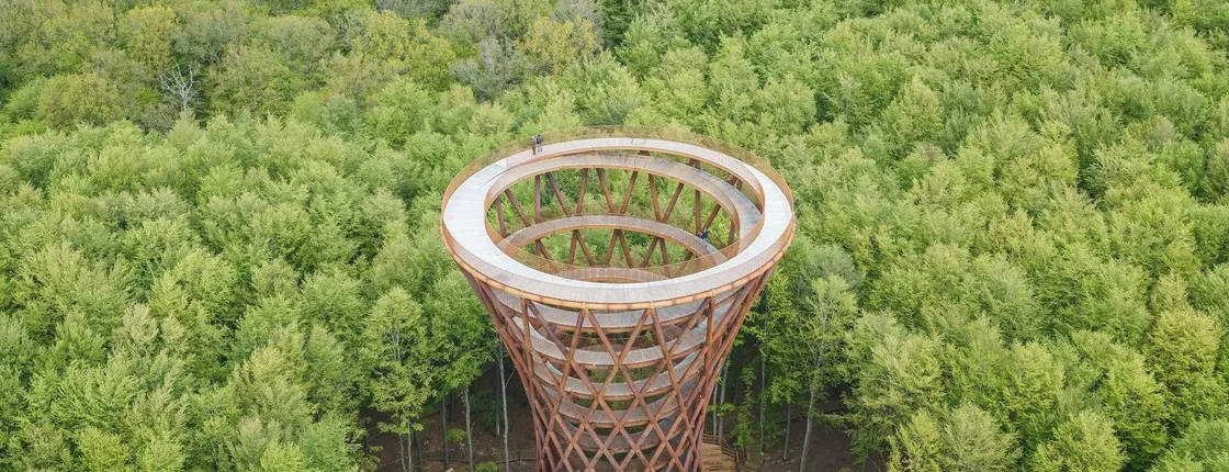 Full-day tour to Forest Tower and Forgotten Giants from Copenhagen