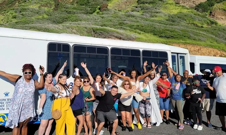 Oahu Guided Circle Island Tour, Swim w/ Turtles, Dole, Blowhole