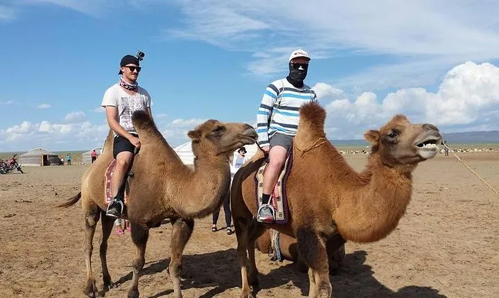 Road Trip to Gobi Desert plus Kharkhorin (Big Loop)