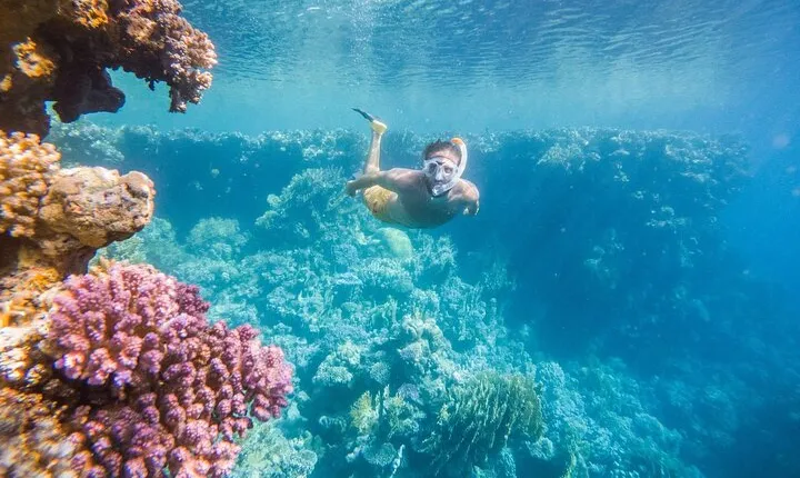 Coral Garden Snorkeling & Diving Adventure & Lunch - Marsa Alam