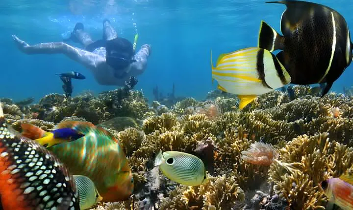 Snorkeling in Blue Lagoon Padang Bai Bali : Snorkel in the clear blue waters