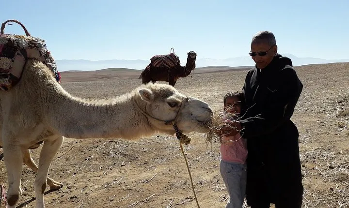 Agadir City Sightseeing Tour