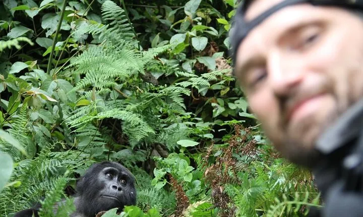 3 Days Private Bwindi Gorillas and Volcanoes Golden Monkey Trek