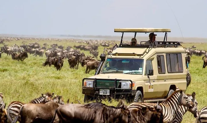 6 Days Budget Tanzania Camping Safari