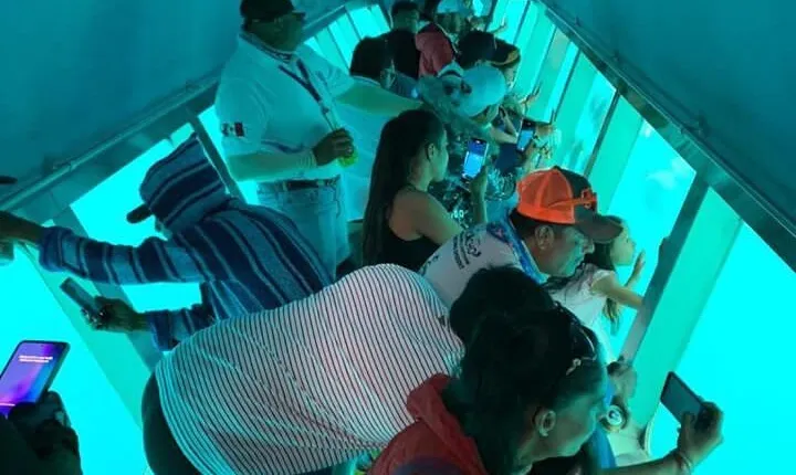 Underwater Exploration and Ocean Sighting Tour in Los Cabos