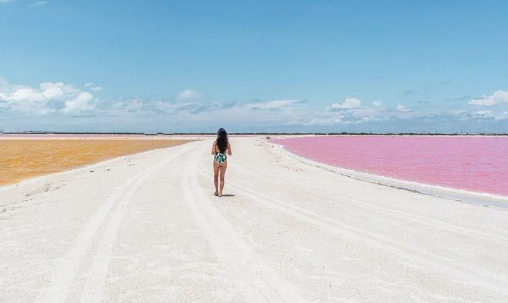 Discover the FABULOUS PINK WATERS at the Caribean (Las Coloradas+Río Lagartos)
