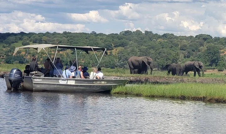 A Chobe Full Day Tour - Botwana