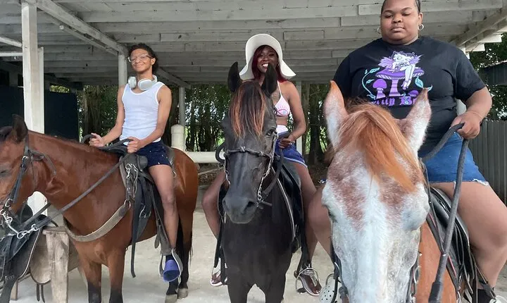Horseback Experience in Miami 