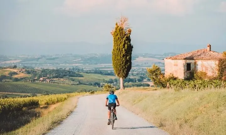 3-Hour Bike Tour and Wine in Tuscany: Nobile's Path
