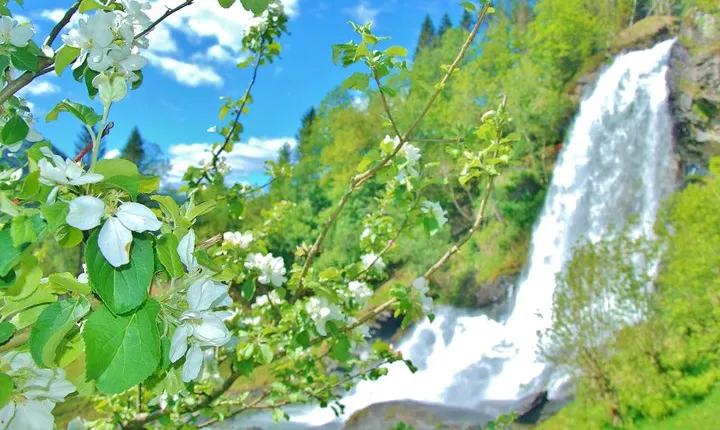 HARDANGER FJORD AND VOSS: Short private roundtrip, 8-9 hours