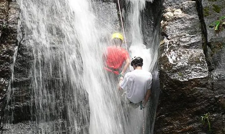 Tijuca National Park Hike and Waterfall Rappelling