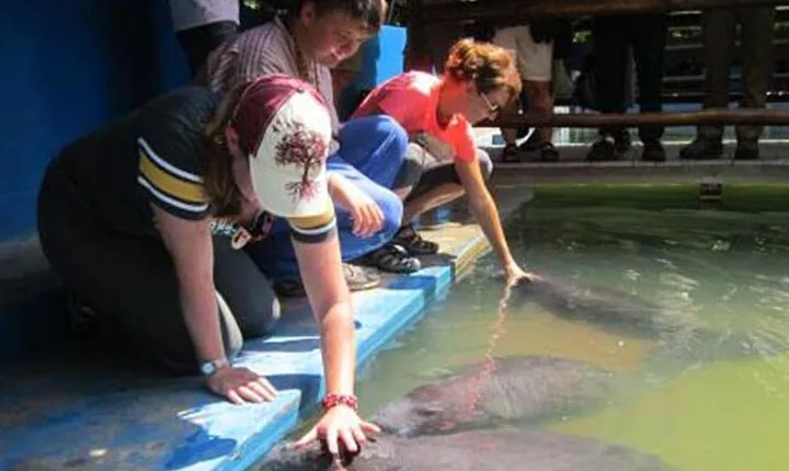 One Day Private Tour in Iquitos