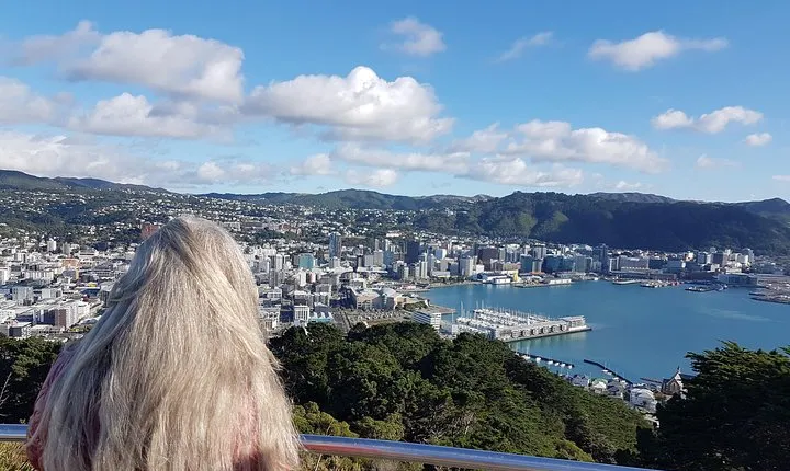 Private Wellington Full Day Sightseeing Tour