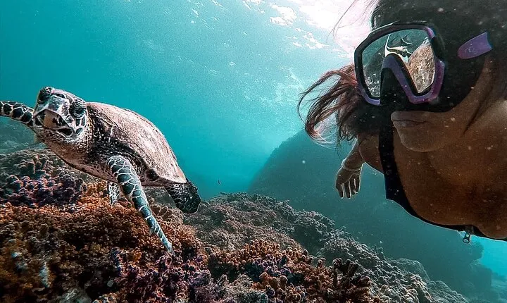 Caño Island all inclusive Snorkeling Tour in small groups