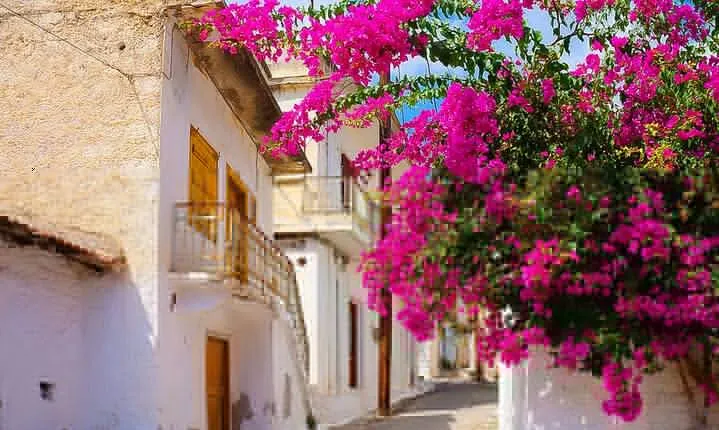 Small Group Eastern Crete Heritage Tour for Cruiseships