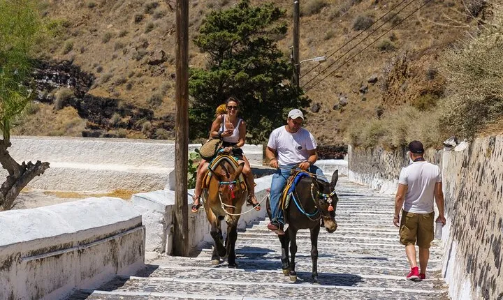 Private Mules Tour from Chefchaouen