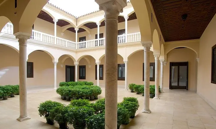 Private visit to Picasso Museum in Malaga with official tour guide