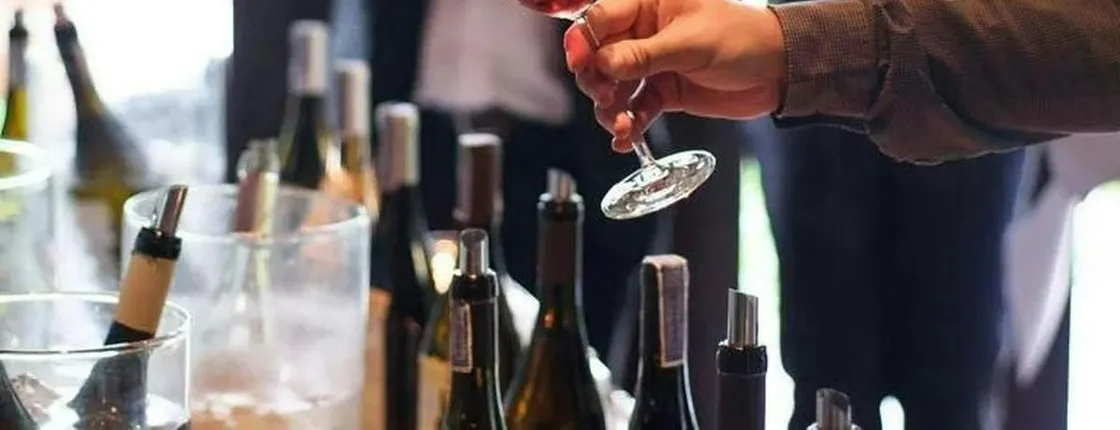 Wine tasting and vineyard guided tour from Nice