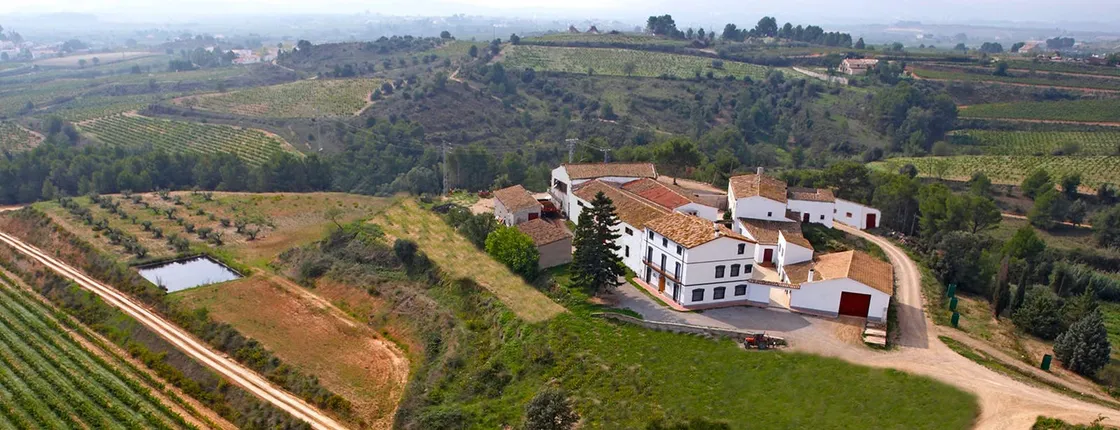 Self-balancing tour through the Penedes wine region from Barcelona