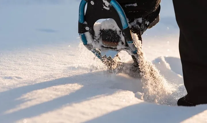Snowshoeing in the Arctic Circle Wilderness