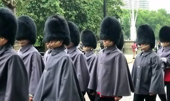 Changing of the Guard Half-Day Private Walking London Tour
