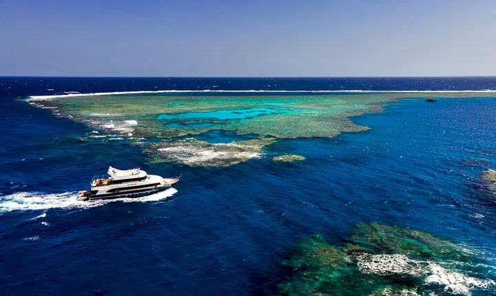 Marsa Alam: Magical Sataya Dolphin Reef Trip with Lunch, Transfer