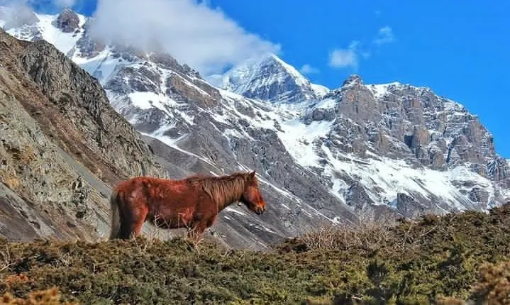 Annapurna Circuit Trek with Heritage Highlights
