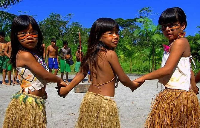 Santos Shore Excursion: Full Day Rain Forest and Indian Reservation Experience