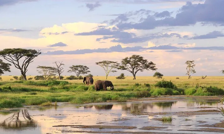 3 Day: Northern Wonders Safari