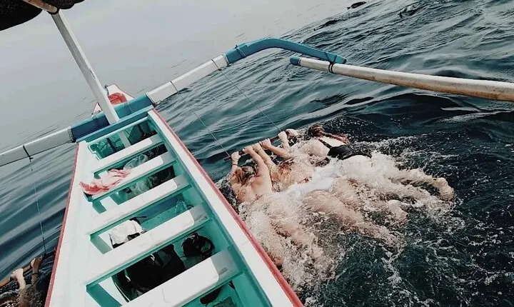 Lovina Dolphin watching and swimming with Dolphin