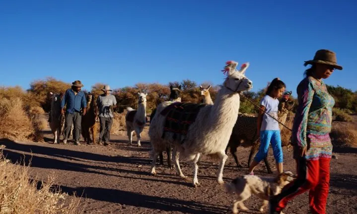 Archaeological Experience in Atacama Tulor and Quitor
