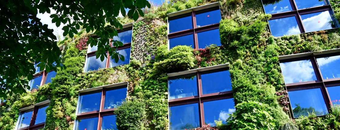 Entrance tickets to Musée du quai Branly — Jacques Chirac