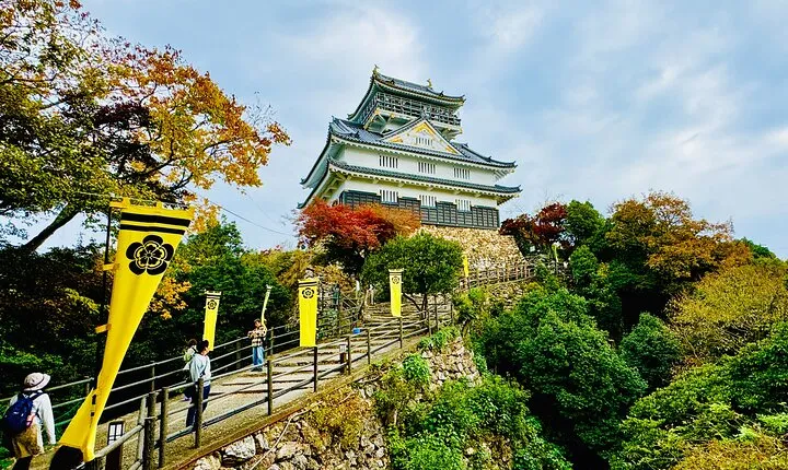 2 Hour Private Scenic Mountain Castle Tour in Gifu