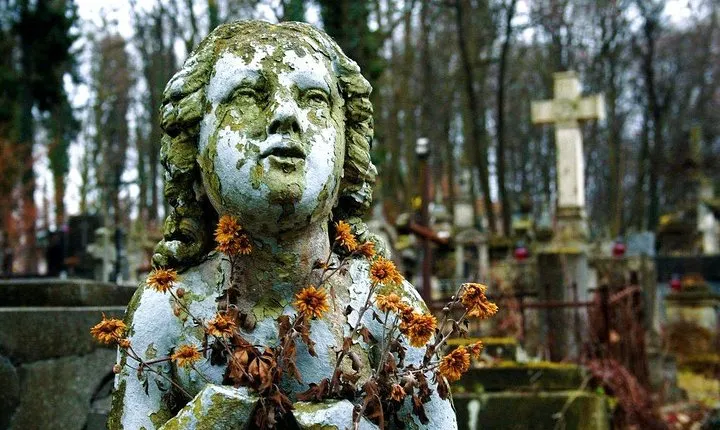2-Hour Lviv Lychakiv Cemetery Private Tour