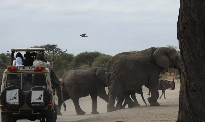 4-Day Tarangire, Serengeti, Ngorongoro Crater
