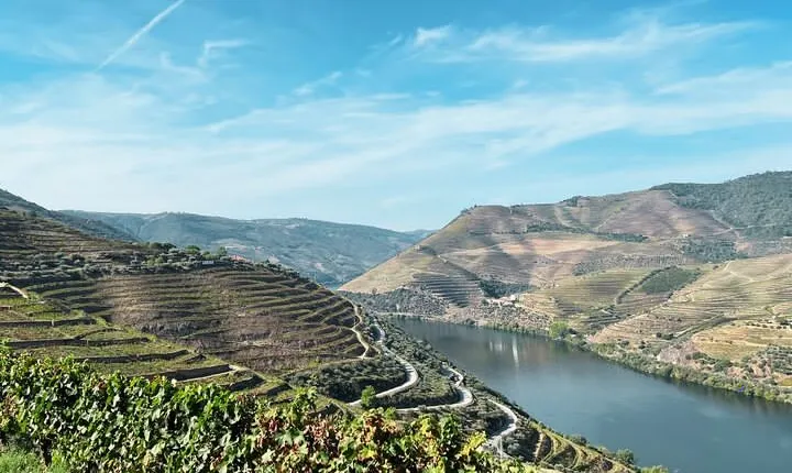 Discover Authentic Douro Tour