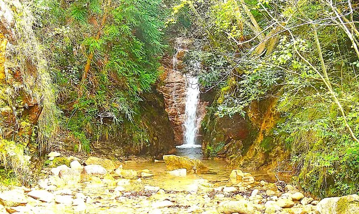 Private Historic Road Hike in the Healing Forest of Arima