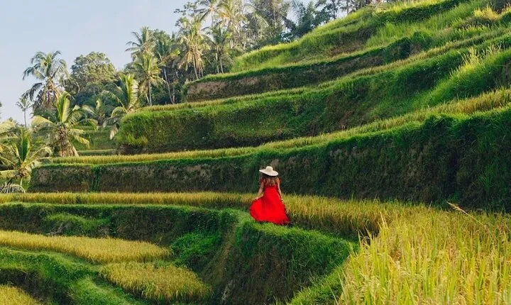 Ubud Culture & Art Village: Rice Terrace & Waterfall Tour