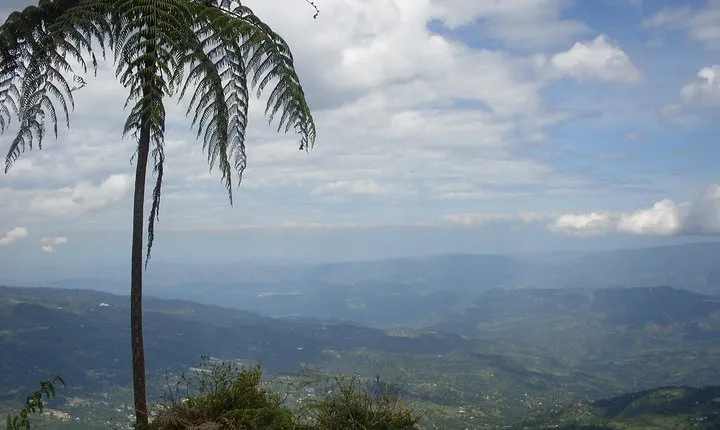 Chicaque Natural Park - Hiking or Birdwatching experience