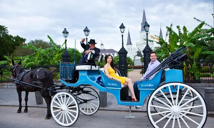 New Orleans Private Carriage Tour of the French Quarter